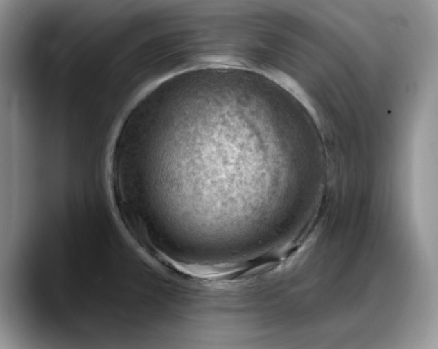 X0000088161381200705291902