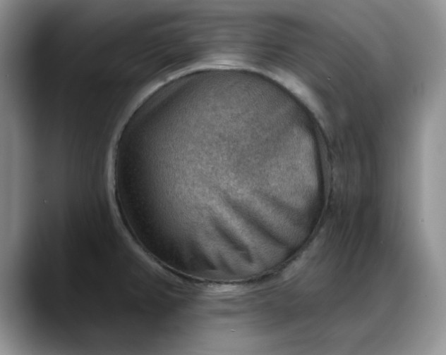 X0000088161382200705291902