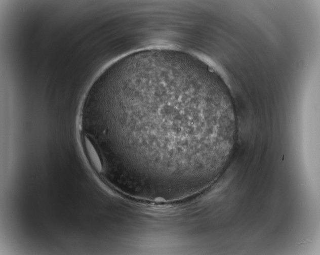 X0000088161383200705291902