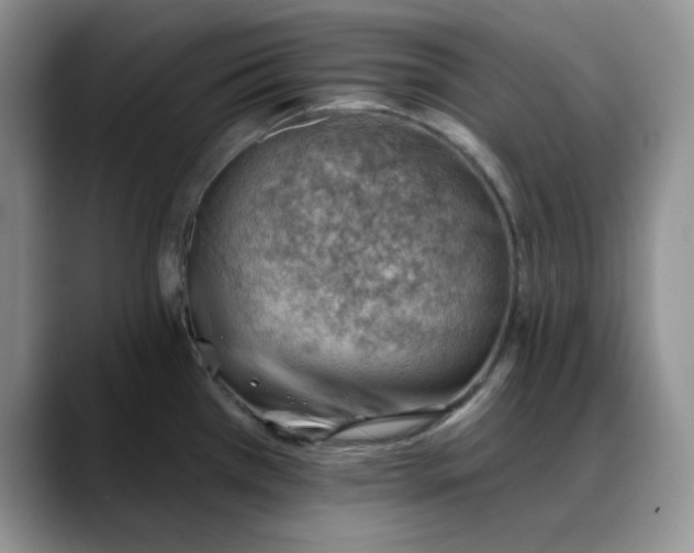 X0000088161385200705291902