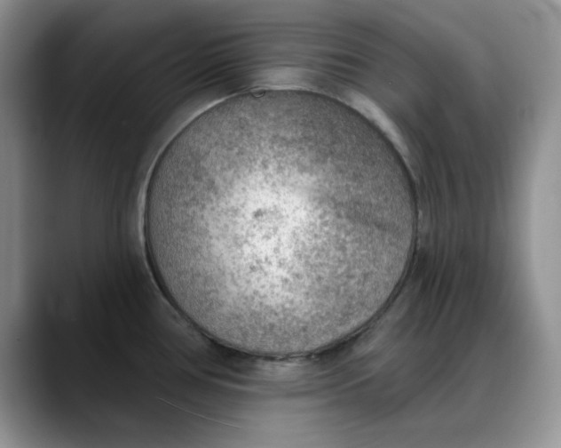 X0000088161386200705291902