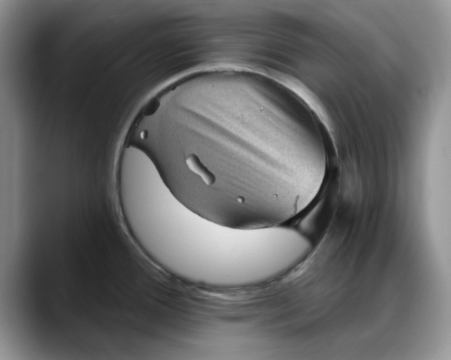 X0000088161388200705291902