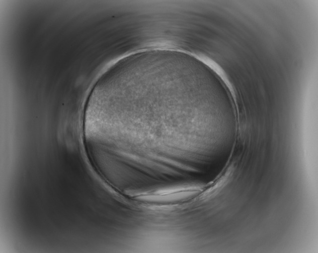 X0000088161389200705291902