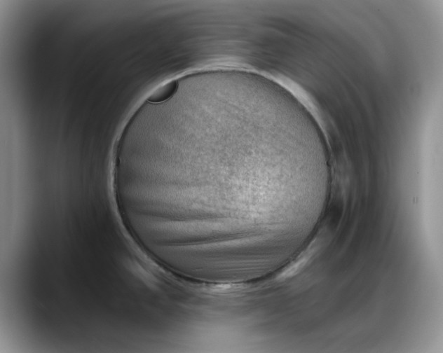 X0000088161390200705291902