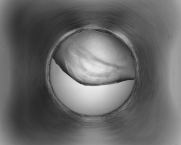 X0000088161392200705291902