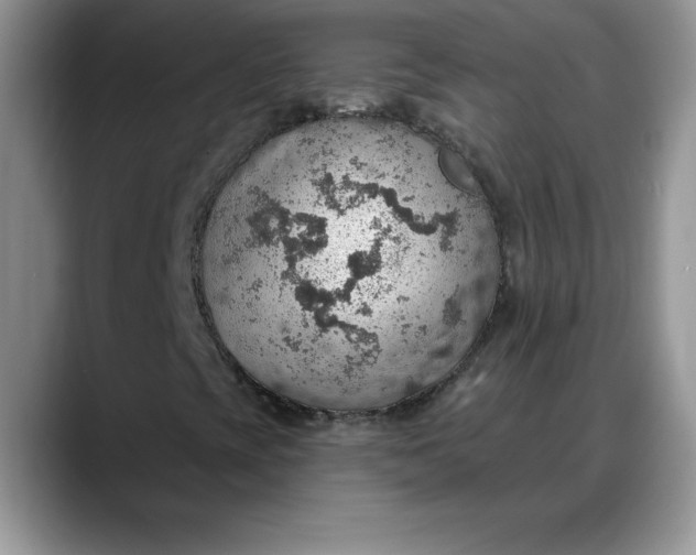 X0000088161393200705291902