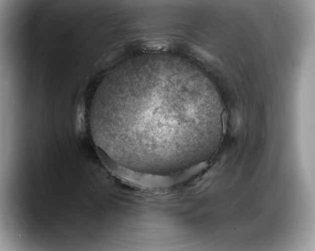 X0000088161394200705291902