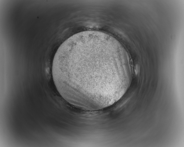 X0000088161396200705291902