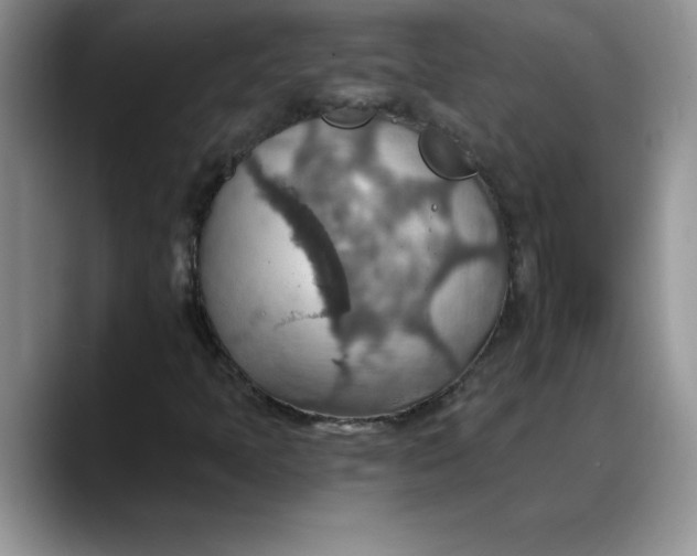 X0000088161397200705291902