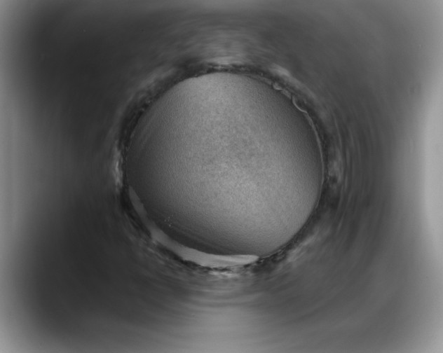 X0000088161398200705291902