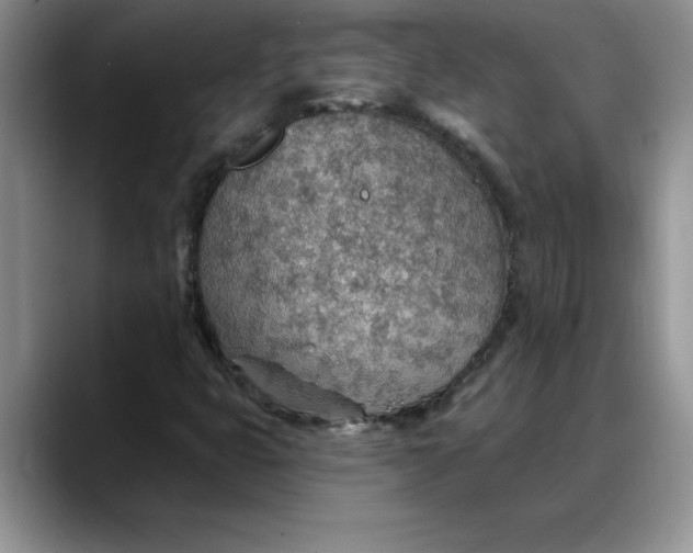 X0000088161399200705291902