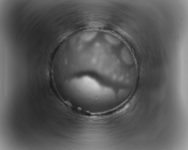 X0000088161401200705291902