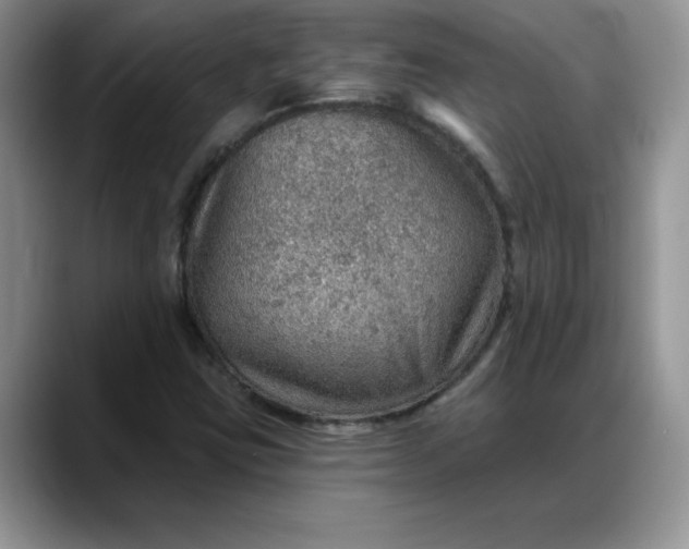 X0000088161403200705291902