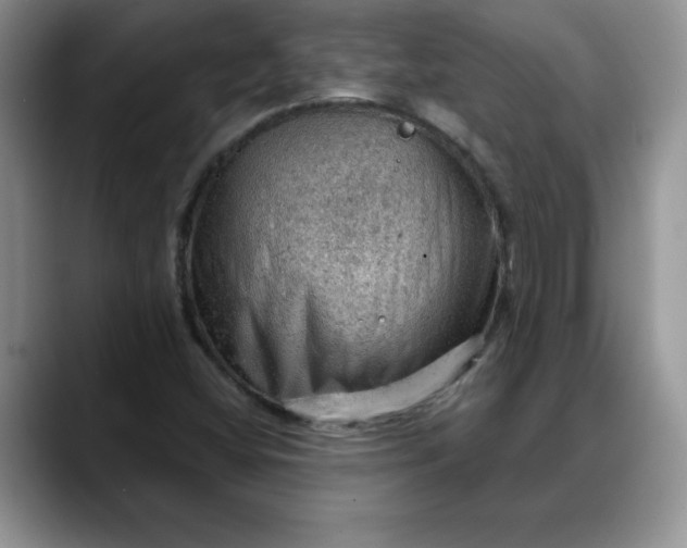 X0000088161404200705291902