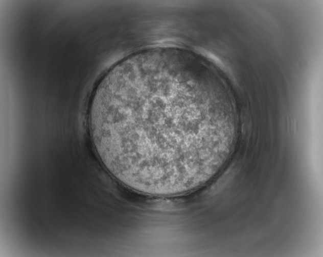 X0000088161405200705291902