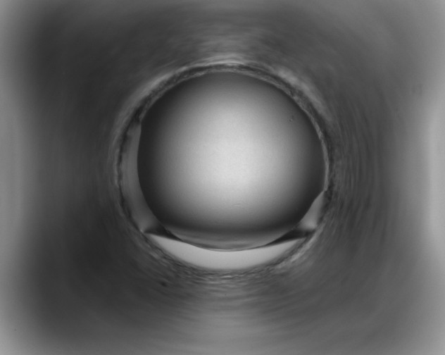 X0000088161406200705291902