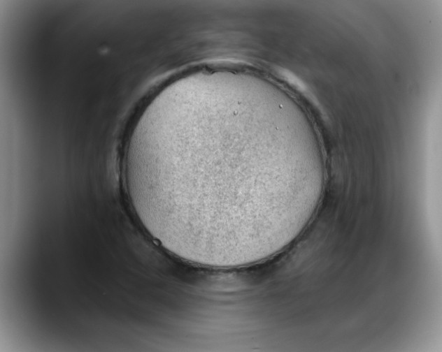 X0000088161408200705291902