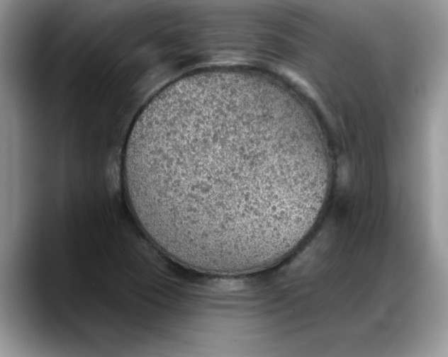 X0000088161409200705291902