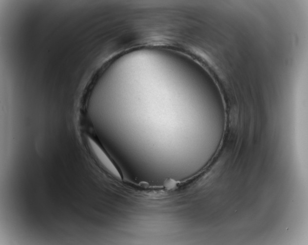 X0000088161410200705291902