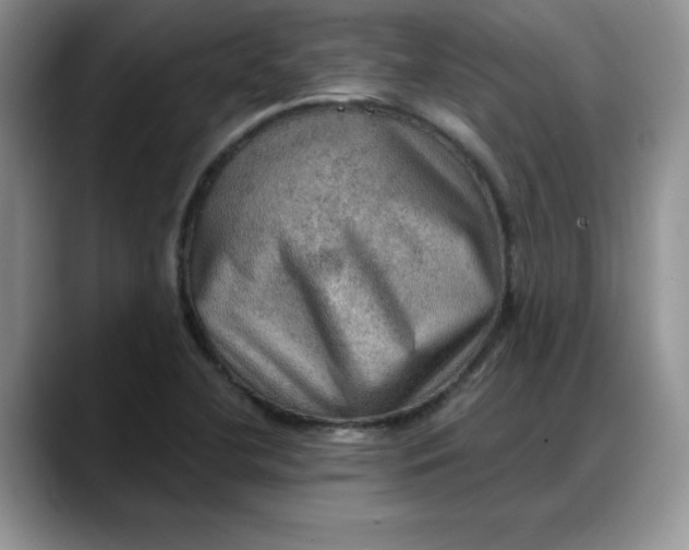 X0000088161412200705291902