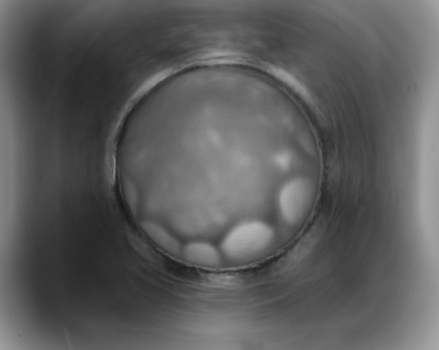 X0000088161413200705291902