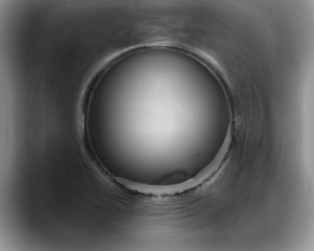 X0000088161414200705291902