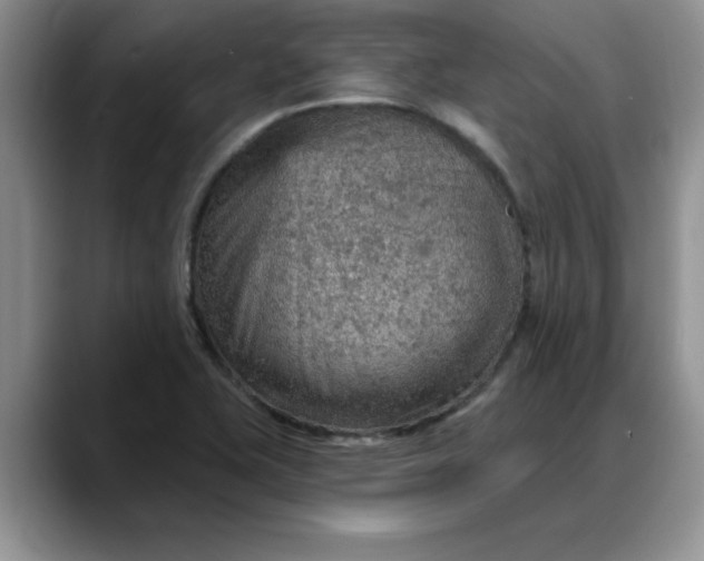 X0000088161415200705291902