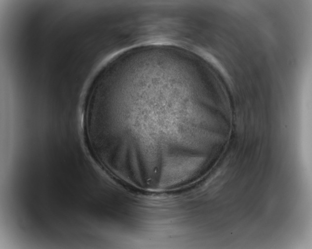 X0000088161416200705291902