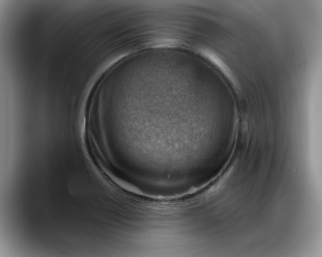 X0000088161418200705291902
