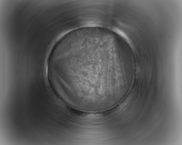 X0000088161419200705291902
