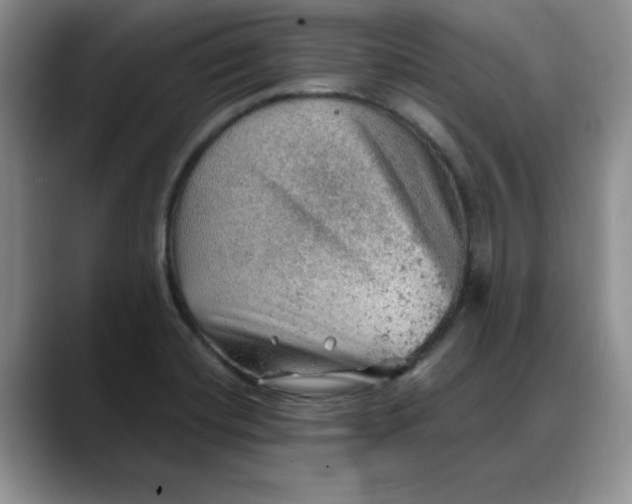 X0000088161420200705291902