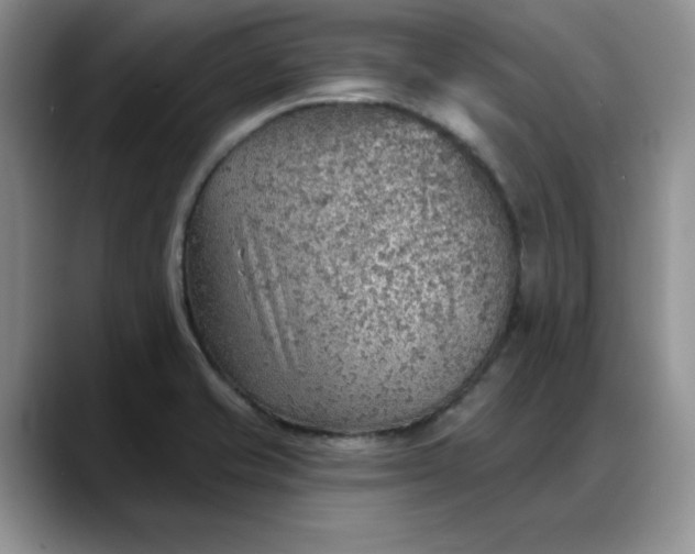 X0000088161421200705291902