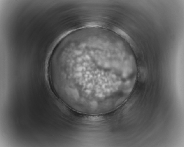 X0000088161427200705291902