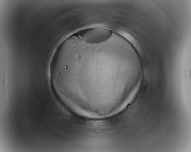 X0000088161428200705291902