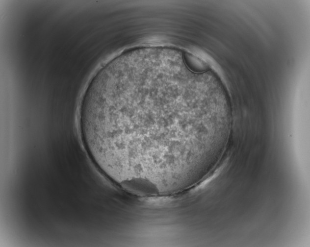 X0000088161429200705291902