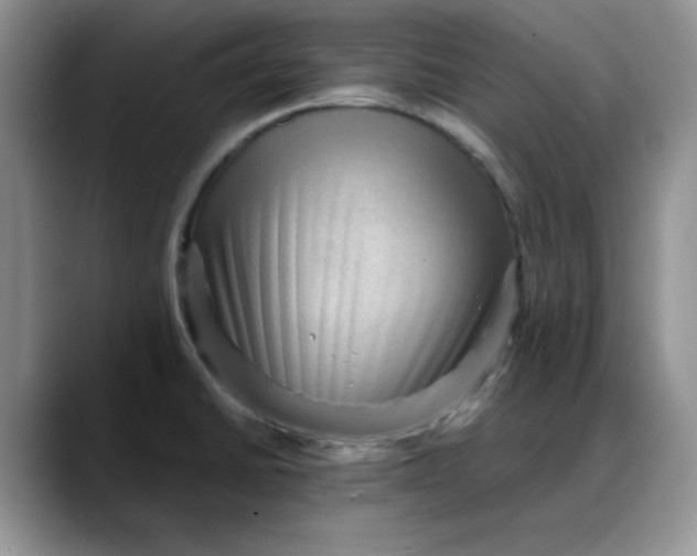 X0000088161430200705291902