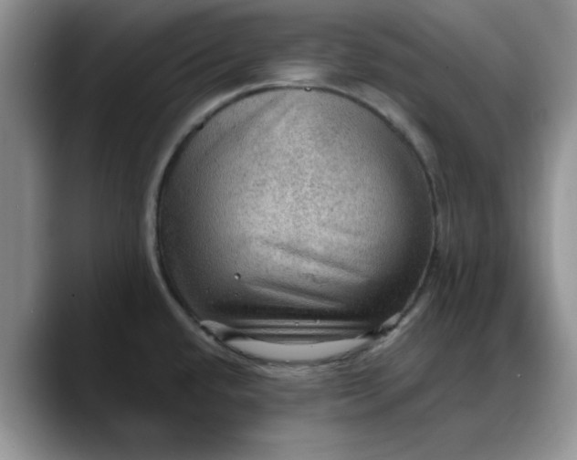 X0000088161432200705291902