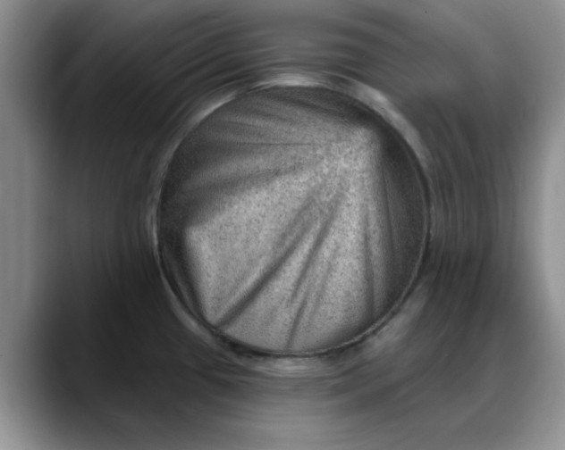 X0000088161433200705291902