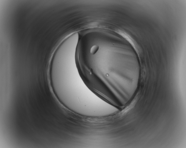 X0000088161434200705291902