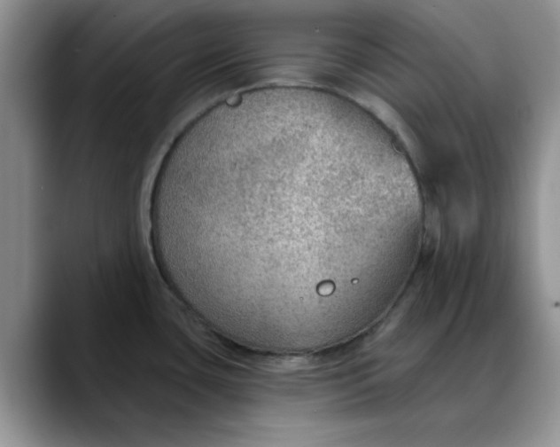 X0000088161435200705291902