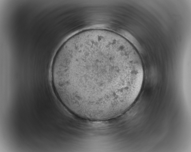 X0000088161436200705291902