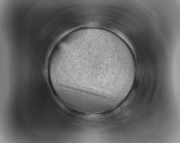X0000088161437200705291902