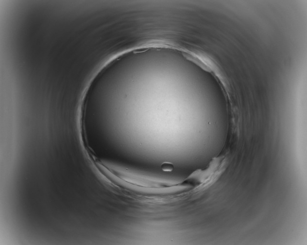 X0000088161438200705291902