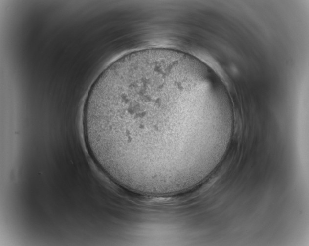 X0000088161439200705291902