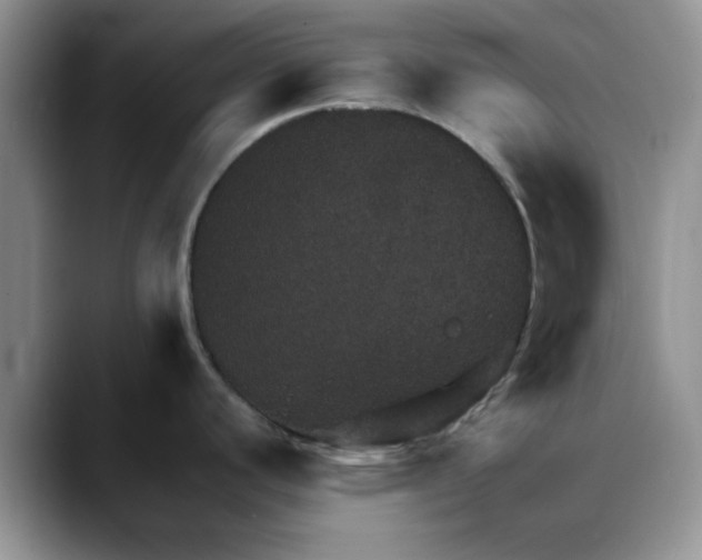 X0000088161440200705291902