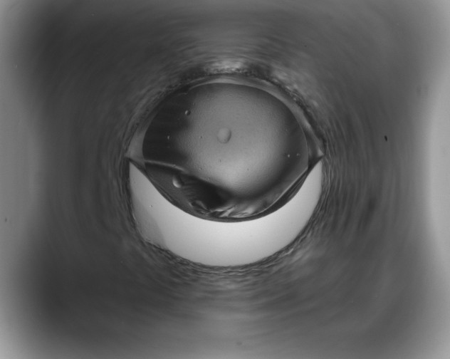 X0000088161441200705291902