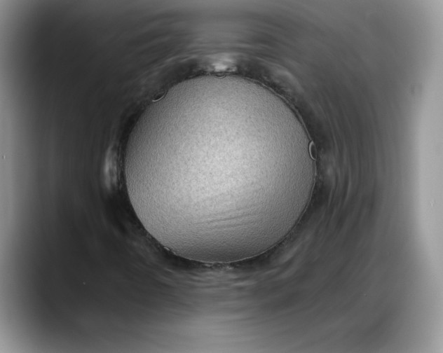 X0000088161442200705291902