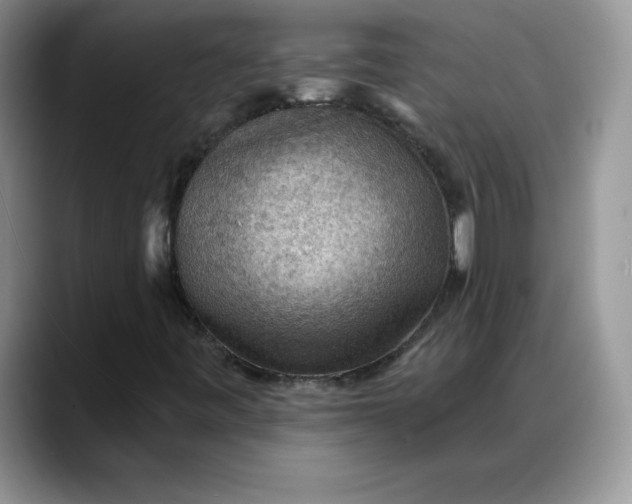 X0000088161443200705291902