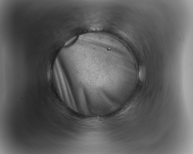 X0000088161444200705291902