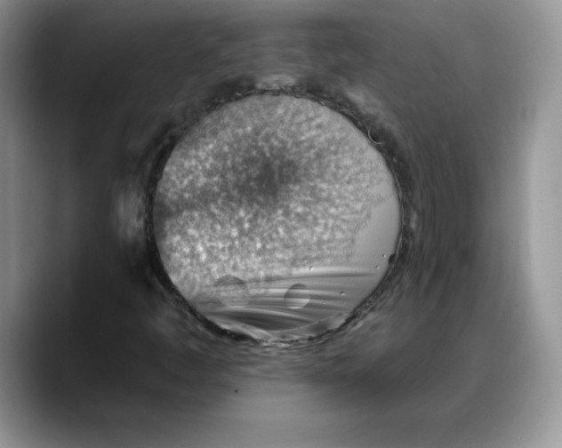 X0000088161445200705291901